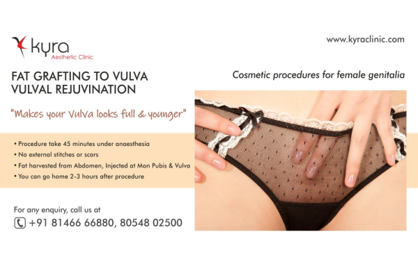 Fat Transfer to Vulva